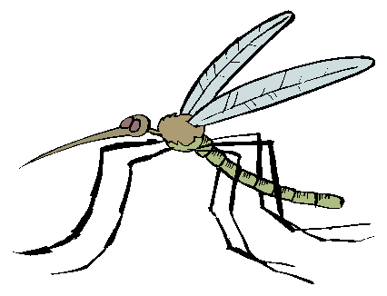 repousse moustique