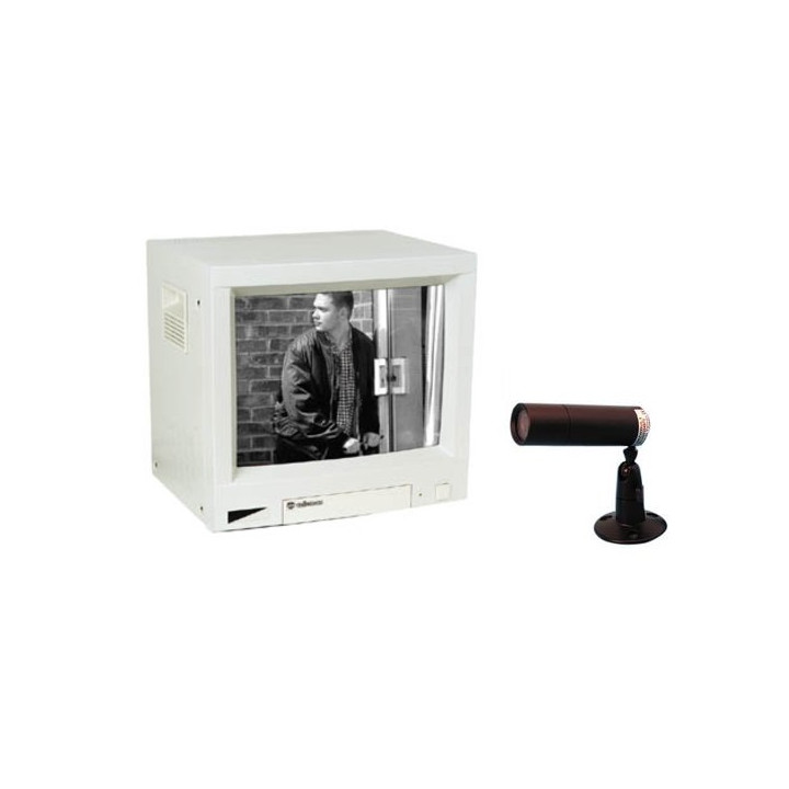 Pack surveillance video n/b 5'' 12cm 2 canaux 1 camera 1 moniteur systeme securite contrôle