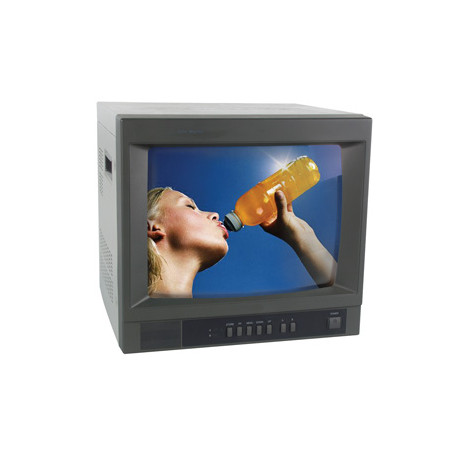 Monitor a colori di sorveglianza video di 35 centimetri 400l 14p ingressi audio 2 uscite 220vca monsca2