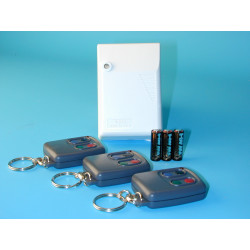 Domotic pack composed with 3 r4t remote control + 1r4 channel receivers domotic appliance packs kits domotic packs kits domotic 