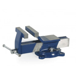Steel bench vice 125mm with swivel base