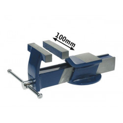 Steel bench vice 100mm with fixed base